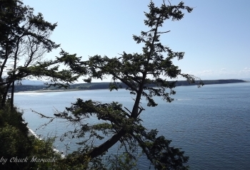 Compare San Juan Islands
