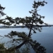Compare San Juan Islands