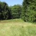 Sequim Land for Sale
