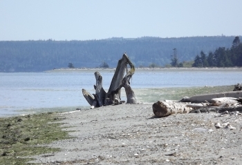 Sequim Weather