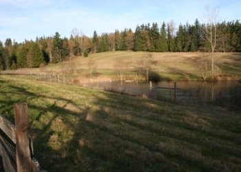 Sequim Land