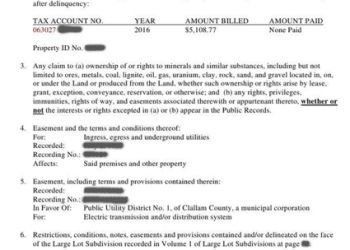 Preliminary Title Report