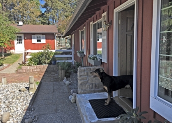 Home Defects