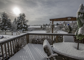Snow in Sequim