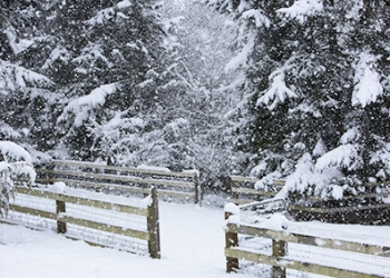Does Sequim Get Snow