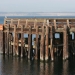 Port Townsend Marina
