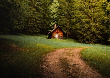 Are Buyers Competing to Bid Prices Up?