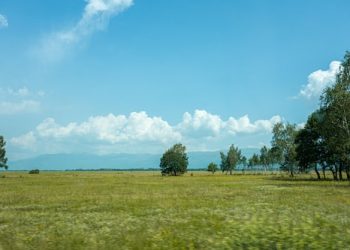 green grass field with green trees under blue sky and white clouds during daytime