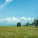 green grass field with green trees under blue sky and white clouds during daytime