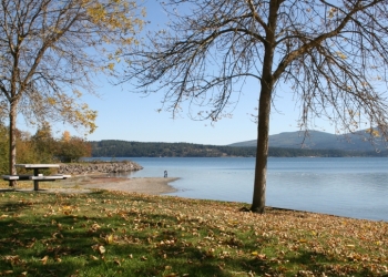 Sequim, Washington: The Sunlit Sanctuary for Your Next Chapter